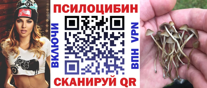 Псилоцибиновые грибы MAGIC MUSHROOMS Семикаракорск